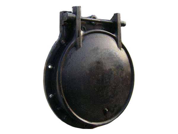 ����Բ����